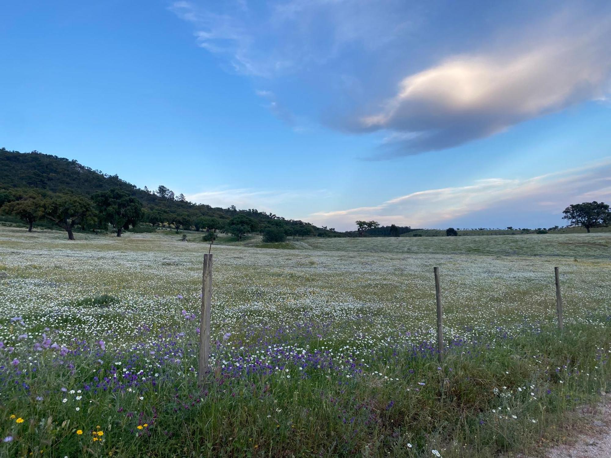 Monte Da Esperanca Villa Esperanca  Kültér fotó