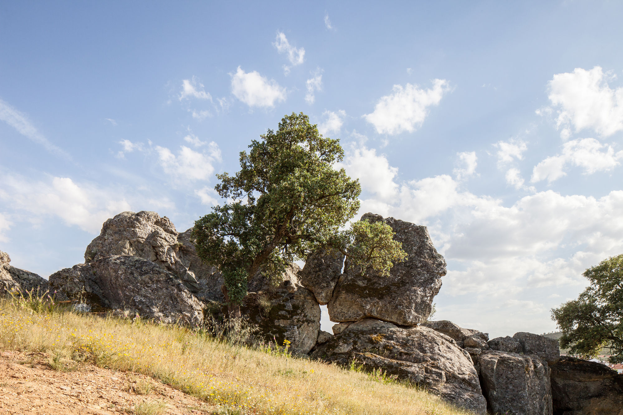 Monte Da Esperanca Villa Esperanca  Kültér fotó